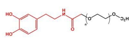 mPEG-Dopamine；mPEG-DOPA；甲氧基聚乙二醇多巴胺