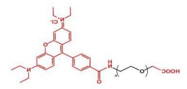 Rhodamine-PEG-COOH;罗丹明聚乙二醇羧基 ;RB-PEG-COOH Rhodamine-PEG-COOH;罗丹明聚乙二醇羧基 ;RB-PEG-COOH
