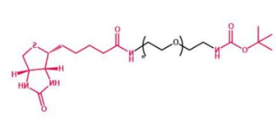 Boc-NH-PEG-Biotin;叔丁氧羰基聚乙二醇生物素;叔丁氧羰基PEG生物素 Boc-NH-PEG-Biotin;叔丁氧羰基聚乙二醇生物素;叔丁氧羰基PEG生物素
