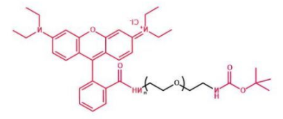 Boc-NH-PEG-RB；叔丁氧羰基聚乙二醇罗丹明；Boc-NH-PEG-Rhodamine B  