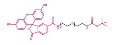 Boc-NH-PEG-FITC；叔丁氧羰基聚乙二醇荧光素