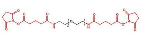 GAS-PEG-GAS;二戊二酰胺琥珀酰亚胺聚乙二醇