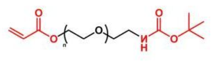 BOC-NH-PEG-AC；叔丁氧羰基聚乙二醇丙烯酸酯；AC-PEG-NH-BOC