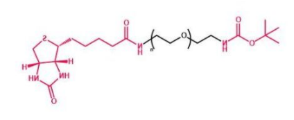 叔丁氧羰基聚乙二醇生物素 Boc-NH-PEG-Biotin