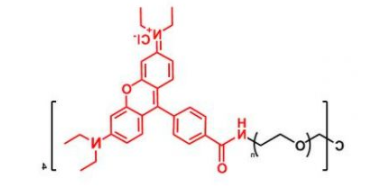 4ARM-PEG-Rhodamine；四臂聚乙二醇罗丹明；4ARM-PEG-RB
