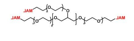 8ARM-PEG-MAL；八臂聚乙二醇马来酰亚胺 ；8ARM-PEG-Maliemide