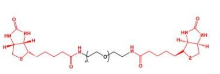 Biotin-PEG-Biotin; BN-PEG-BN;二生物素聚乙二醇