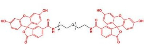 Fluoresein-PEG-Fluoresein; FITC-PEG-FITC;二荧光素聚乙二醇 