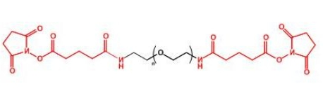  GAS-PEG-GAS;二戊二酰胺琥珀酰亚胺聚乙二醇