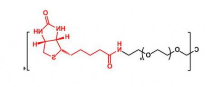 4ARM-PEG-Biotin；四臂聚乙二醇生物素；4ARM-PEG-BN
