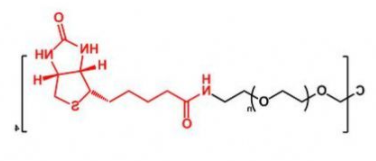 4ARM-PEG-Biotin；四臂聚乙二醇生物素；4ARM-PEG-BN