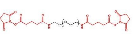 GAS-PEG-GAS;二戊二酰胺琥珀酰亚胺聚乙二醇 