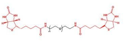 Biotin-PEG-Biotin; BN-PEG-BN;二生物素聚乙二醇