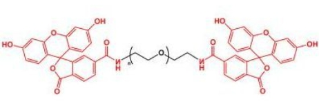 Fluoresein-PEG-Fluoresein; FITC-PEG-FITC;二荧光素聚乙二醇