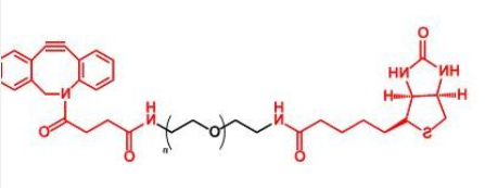 Biotin-PEG-DBCO；生物素聚乙二醇二苯基环辛炔 