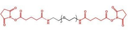 GAS-PEG-GAS;二戊二酰胺琥珀酰亚胺聚乙二醇 