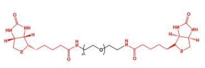 Biotin-PEG-Biotin; BN-PEG-BN;二生物素聚乙二醇 