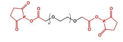 NHS-PEG-NHS，SCM-PEG-SCM;二琥珀酰亚胺乙酸酯聚乙二醇