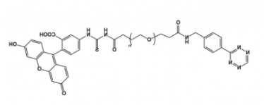 Tetrazine-PEG-FITC 四嗪聚乙二醇荧光素 Tetrazine-PEG-FITC 四嗪聚乙二醇荧光素