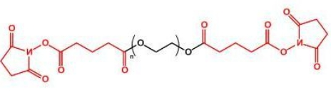  SG-PEG-SG;二琥珀酰亚胺戊二酸酯聚乙二醇