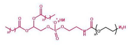 DSPE-PEG-NH2；磷脂聚乙二醇氨基；DSPE-PEG-Amine