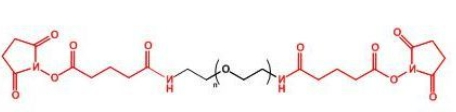  GAS-PEG-GAS;二戊二酰胺琥珀酰亚胺聚乙二醇
