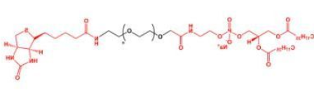 DSPE-PEG-Biotin；磷脂聚乙二醇生物素；Biotin-PEG-DSPE