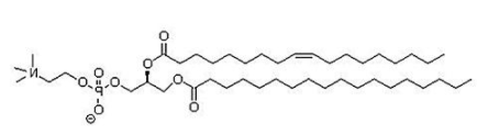 1-硬脂酰基-2-油酰基卵磷脂（SOPC)；56421-10-4；1-stearoyl-2-oleoyl-sn-glycero-3-phosphocholine
