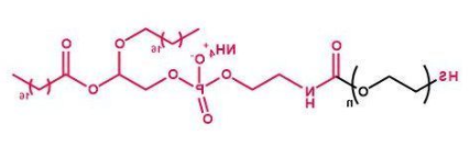 DSPE-PEG-SH；磷脂聚乙二醇巯基；DSPE-PEG-Thiol