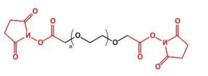 NHS-PEG-NHS，SCM-PEG-SCM;二琥珀酰亚胺乙酸酯聚乙二醇