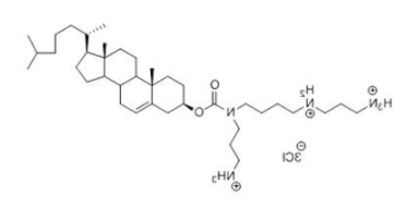 N4-精氨胆固醇羰酰氨(GL67),179075-30-0;N4-Cholesteryl-Spermine HCl Salt N4-精氨胆固醇羰酰氨(GL67),179075-30-0;N4-Cholesteryl-Spermine HCl Salt