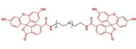 Fluoresein-PEG-Fluoresein;二荧光素聚乙二醇;FITC-PEG-FITC Fluoresein-PEG-Fluoresein;二荧光素聚乙二醇;FITC-PEG-FITC