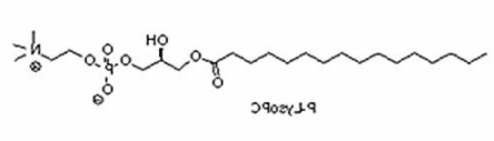 棕榈酰溶血卵磷脂（P-LysoPC）,17364-16-8；1-palmitoyl-2-hydroxy-sn-glycero-3-phosphocholine
