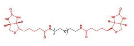 Biotin-PEG-Biotin;BN-PEG-BN;二生物素聚乙二醇