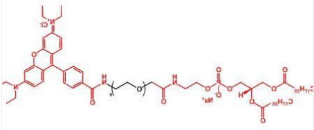 Rhodamine-PEG-DSPE；罗丹明聚乙二醇磷脂 ；DSPE-PEG-Rhodamine
