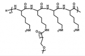 PLL(20)-g[3.3]-PEG(5)；甲氧基聚乙二醇聚赖氨酸