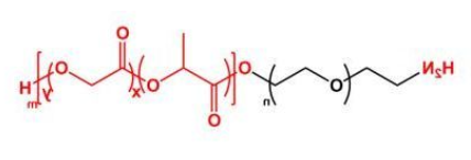 PLGA-PEG-NH2；聚乳酸-羟基乙酸共聚物聚乙二醇氨基；NH2-PEG-PLGA  