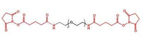  GAS-PEG-GAS;二戊二酰胺琥珀酰亚胺聚乙二醇