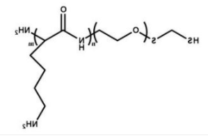HS-PEG-PLL；巯基聚乙二醇聚赖氨酸