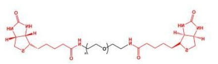 Biotin-PEG-Biotin; BN-PEG-BN;二生物素聚乙二醇 Biotin-PEG-Biotin; BN-PEG-BN;二生物素聚乙二醇