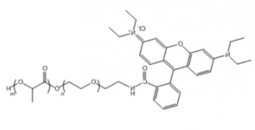 PLA-PEG-RB；聚乳酸-聚乙二醇-罗丹明