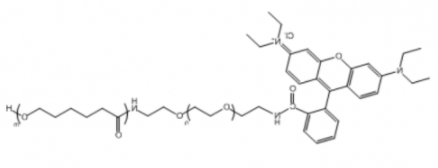 PCL-PEG-RB；聚己内酯聚乙二醇罗丹明 