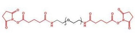 GAS-PEG-GAS;二戊二酰胺琥珀酰亚胺聚乙二醇 GAS-PEG-GAS;二戊二酰胺琥珀酰亚胺聚乙二醇