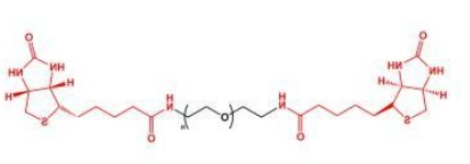 Biotin-PEG-Biotin;BN-PEG-BN;二生物素聚乙二醇 