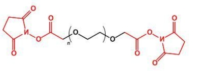 NHS-PEG-NHS，SCM-PEG-SCM;二琥珀酰亚胺乙酸酯聚乙二醇
