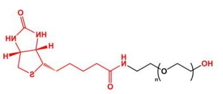 HO-PEG-Biotin; Biotin-PEG-OH;羟基聚乙二醇生物素
