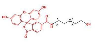 荧光素聚乙二醇巯基