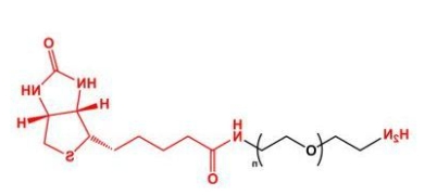 NH2-PEG-Biotin;Biotin-PEG-NH2;氨基聚乙二醇生物素 