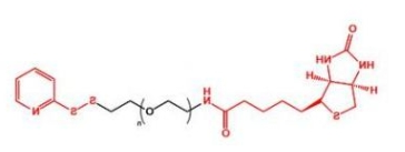 OPSS-PEG-Biotin; 生物素聚乙二醇巯基吡啶 巯基吡啶PEG生物素