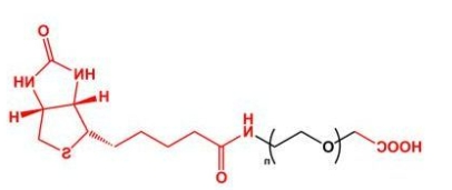 COOH-PEG-Biotin,Biotin-PEG-COOH、羧基聚乙二醇生物素